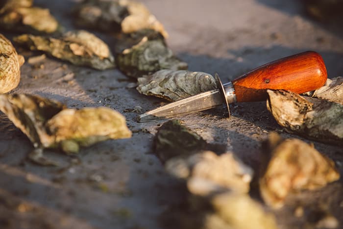 Lowcountry oyster roast by PPHG Events | The River House at Lowndes Grove
